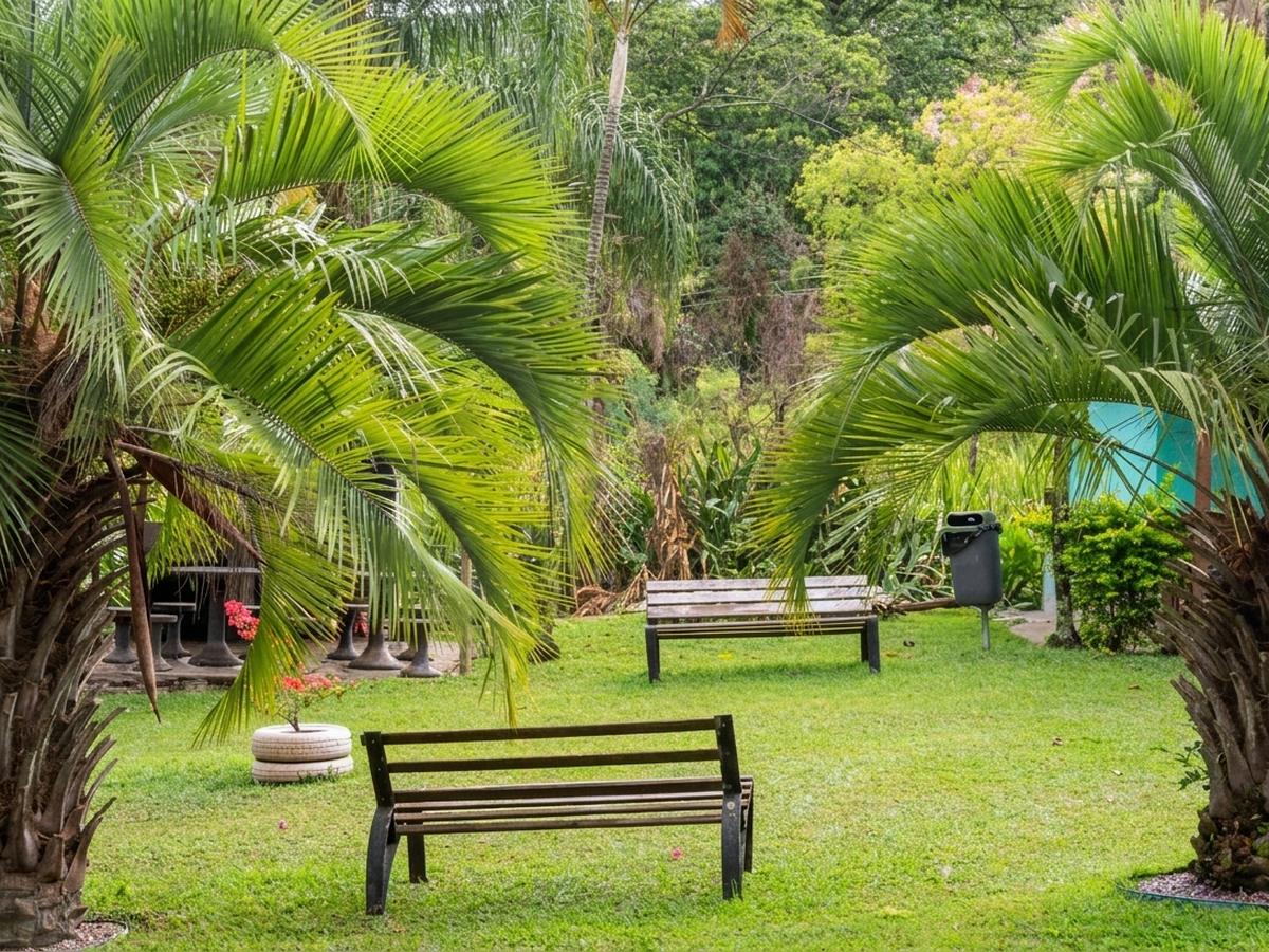 Jardim da pousada com palmeiras e bancos de madeira no gramado