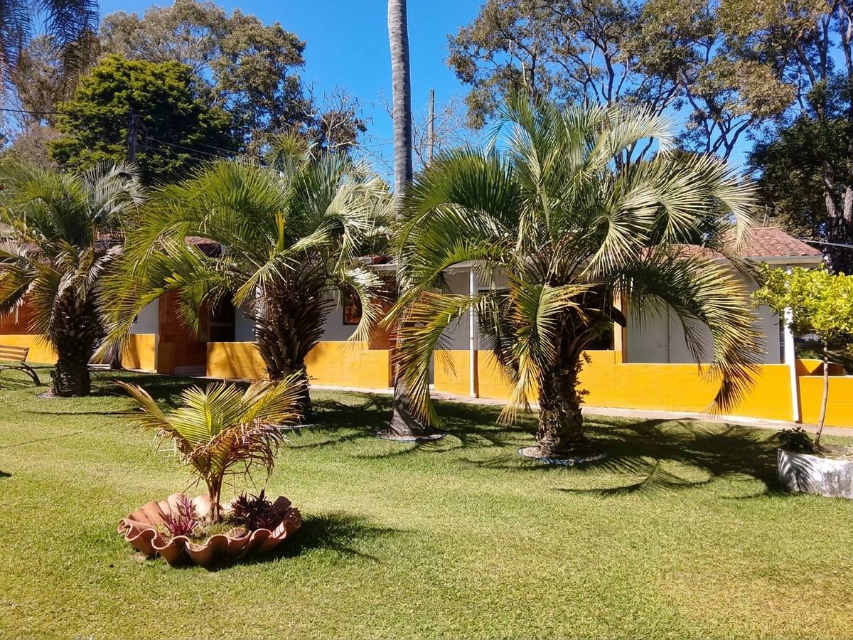 Jardim com palmeiras e chalés ao fundo